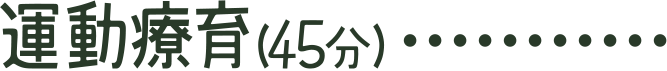 運動療育(45分)