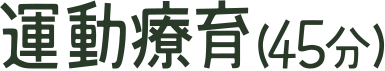 運動療育(45分)